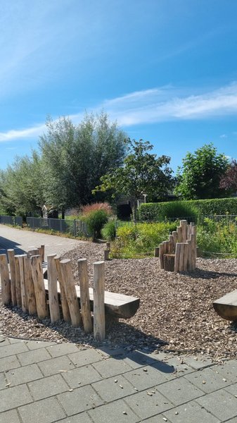
      
        Schoolplein Rehoboth  (6).jpeg
      
    